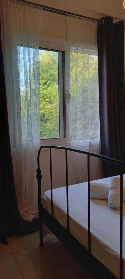 Apartment 2 Bedrooms-perfect Center Location-amazing View *